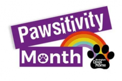 Paw-sitive PR for Birmingham Dogs Home